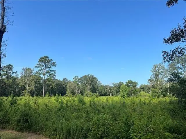 1 Gemstone Drive, Franklinton, LA 70438 - #2