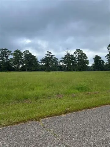 000 Ray Keen Road, Covington, LA 70435 - #2