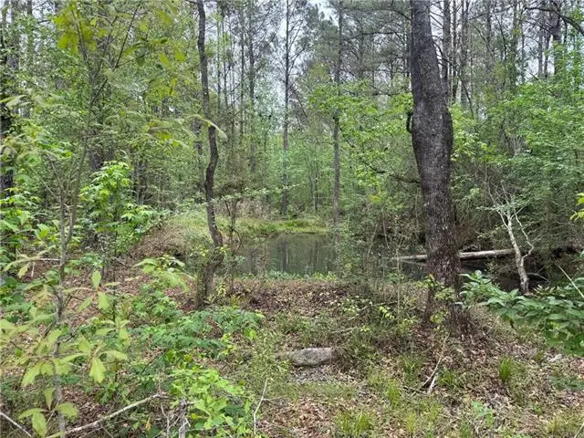 0 Pine Hollow Road, Covington, LA 70435 - #1