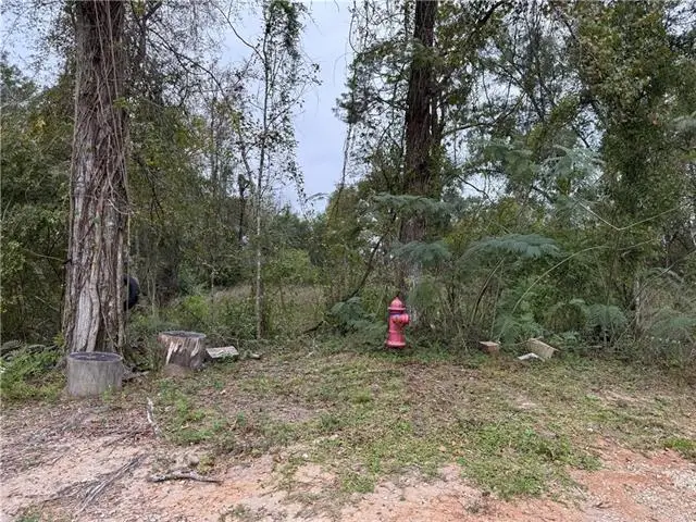 29507 Clay Street, Albany, LA 70711 - #3