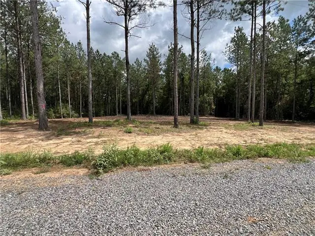 Lot 4 Hwy 25 Highway, Franklinton, LA 70438 - #2