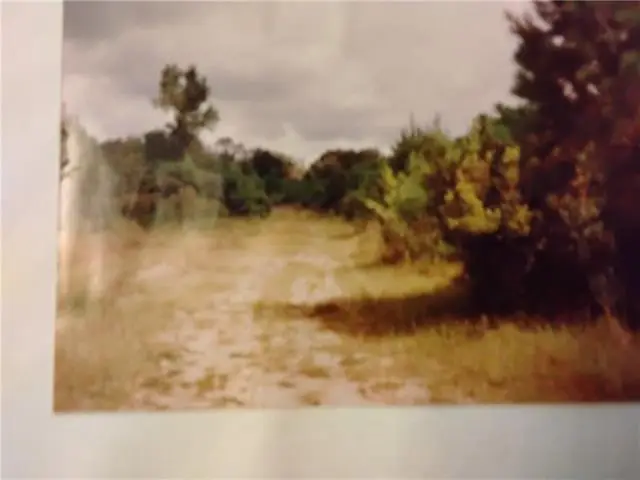 Randall Road, Hammond, LA 70401 - #3