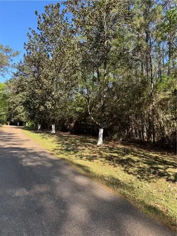 13261 Theresa Nave Road, Folsom, LA 70437 - #1