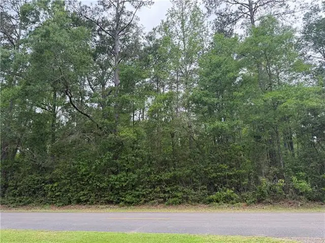 TBD W Saint Charles Avenue, Loranger, LA 70446 - #3