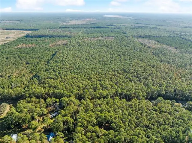 00 Delery Street, Mandeville, LA 70471 - #3