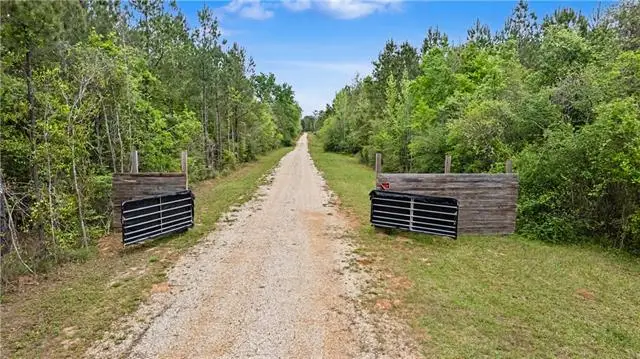 12659 Savarese Drive, Franklinton, LA 70438 - #2