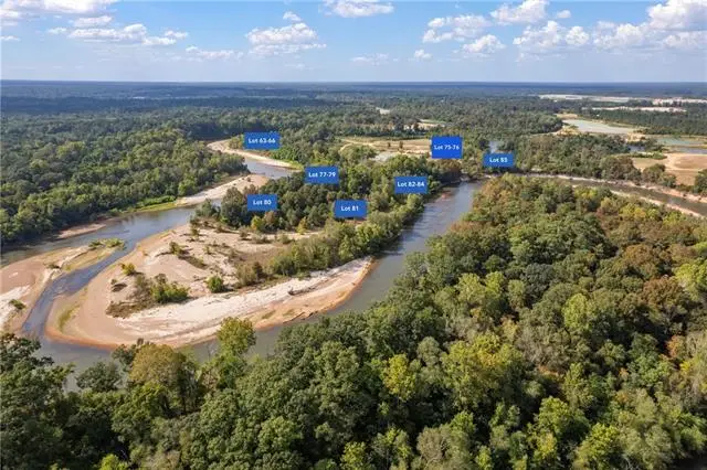 Lot 75 The Banks Drive - Hwy 16 Highway, Franklinton, LA 70438 - #1