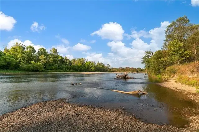 Lot 75 The Banks Drive - Hwy 16 Highway, Franklinton, LA 70438 - #3