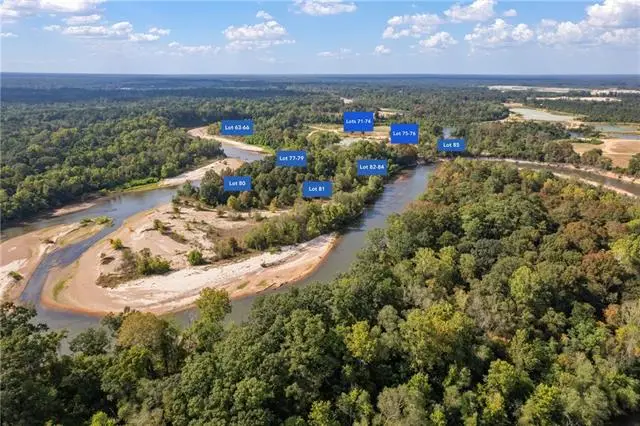 Lot 73 The Banks Drive - Hwy 16 Highway, Franklinton, LA 70438 - #2