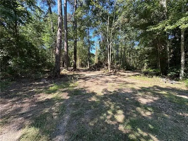 TBD La 437 Road, Covington, LA 70435 - #2