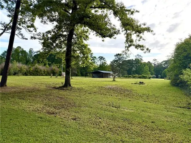 20275 Chappepeela Road, Loranger, LA 70446 - #1
