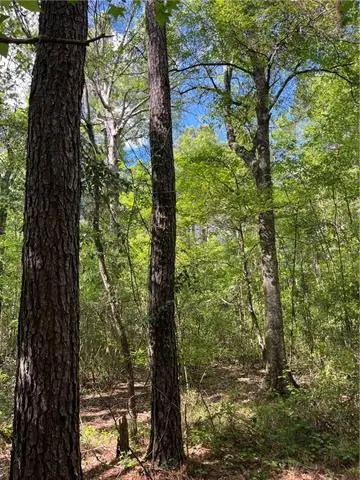 Bj Maurer Rd Road, Independence, LA 70443 - #2