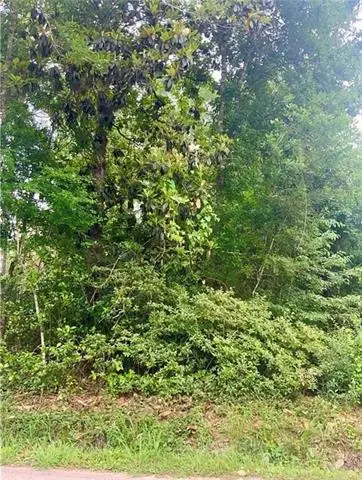 Keys Road, Covington, LA 70433 - #2