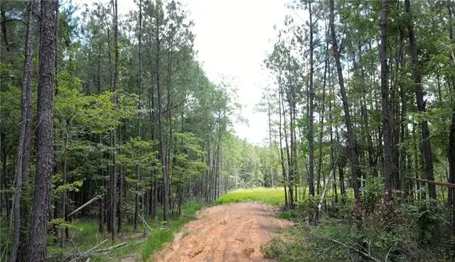 35072 La-43 Highway, Independence, LA 70443 - #2