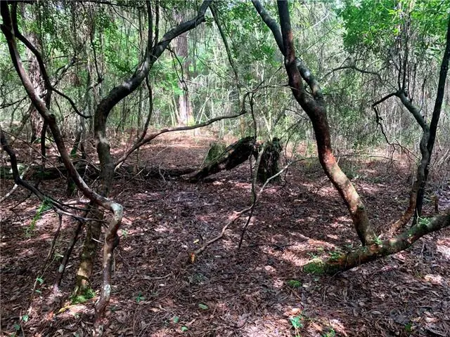 Lot 23 Five Acre Farms, Mandeville, LA 70471 - #1