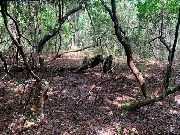 Lot 23 Five Acre Farms, Mandeville, LA 70471