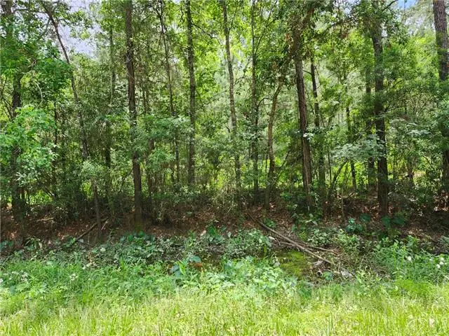 791 Buck Run Other, Pearl River, LA 70452 - #1
