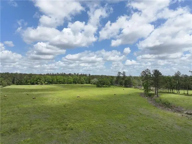 Hubert Stilley Rd Road, Independence, LA 70443 - #2