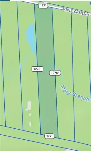 87474 Vineyard Road, Folsom, LA 70437 - #3