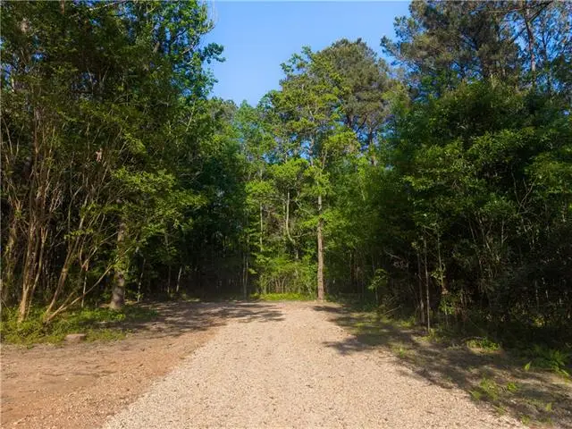 22251 Leemans Road, Abita Springs, LA 70420 - #3