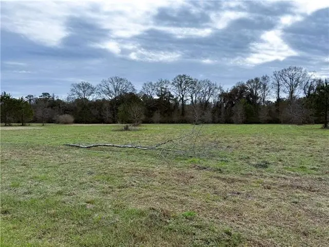 Ed Yates Road, Pearl River, LA 70452 - #3