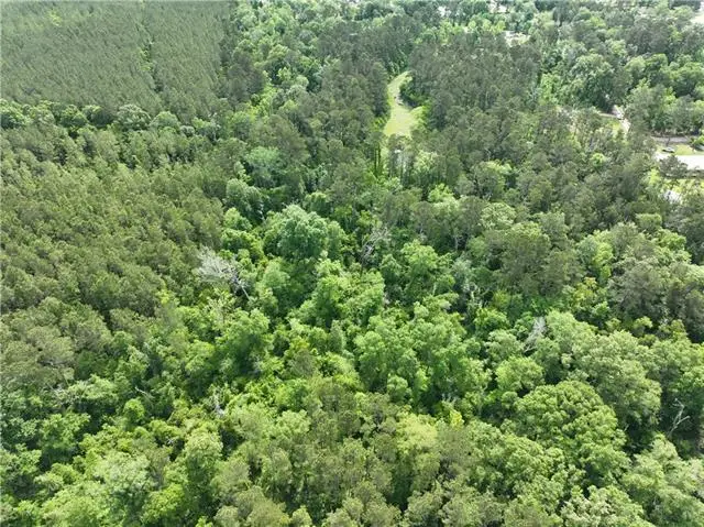 Shadow Lake Drive, Holden, LA 70744 - #1
