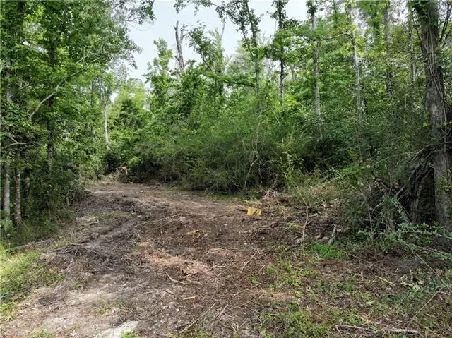Shadow Lake Drive, Holden, LA 70744 - #2