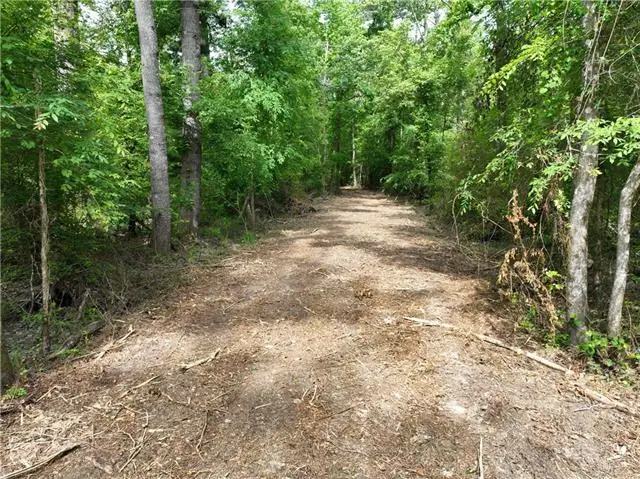 Shadow Lake Drive, Holden, LA 70744 - #3
