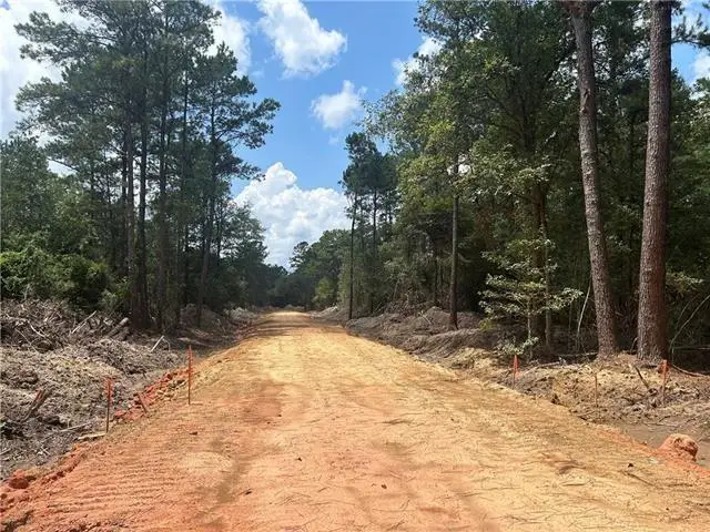 0 Pellegrin Drive, Covington, LA 70435 - #2