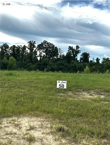 Lot 58 The Banks Drive - Hwy 16 Highway, Franklinton, LA 70438 - #1