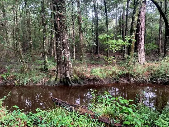 Lot 24 Five Acre Farms, Mandeville, LA 70471 - #1