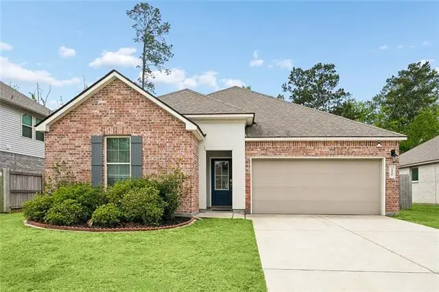 24228 Water Tupelo Road, Ponchatoula, LA 70454 - #1