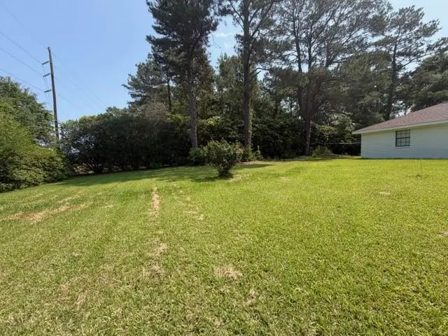 28230 Highway 430 Highway, Franklinton, LA 70438 - #3