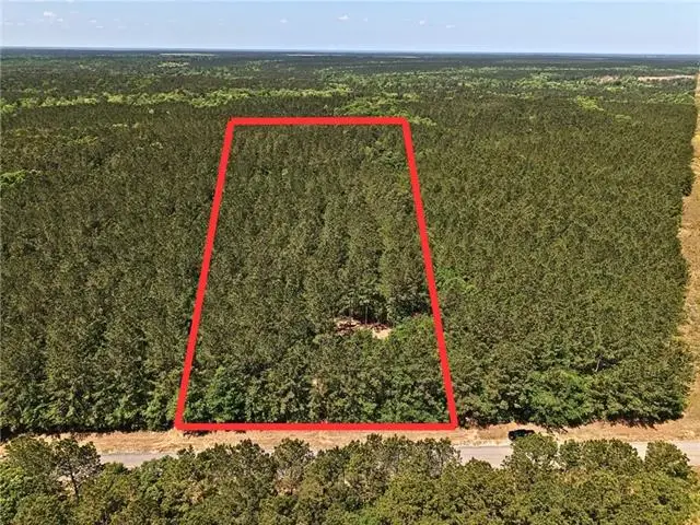 Parcel A Highway 439 Highway, Franklinton, LA 70438 - #1