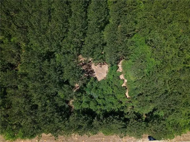 Parcel A Highway 439 Highway, Franklinton, LA 70438 - #2