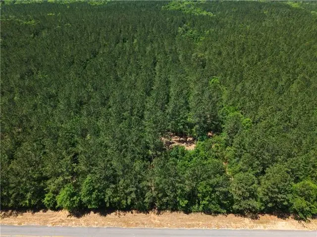 Parcel A Highway 439 Highway, Franklinton, LA 70438 - #3