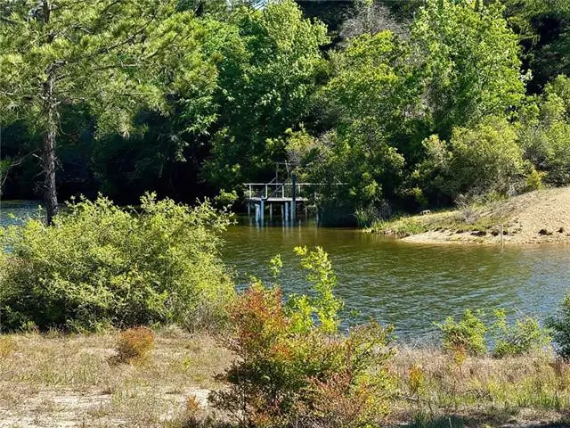 TBD-Lot 6 Highway 25 Drive, Franklinton, LA 70438 - #2