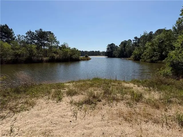 TBD Lot 3 Highway 25 Drive, Franklinton, LA 70438 - #1