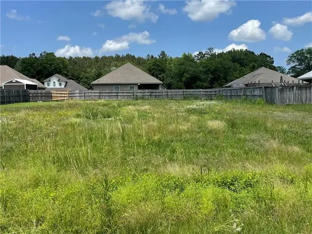 21346 Beau Chateau Boulevard, Ponchatoula, LA 70454 - #2