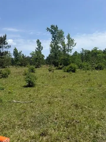 Boyd Road, Covington, LA 70435 - #1