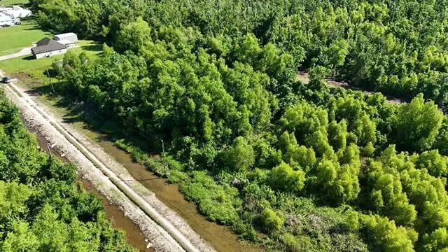 2812 Falcon Court Road, Paulina, LA 70763 - #3