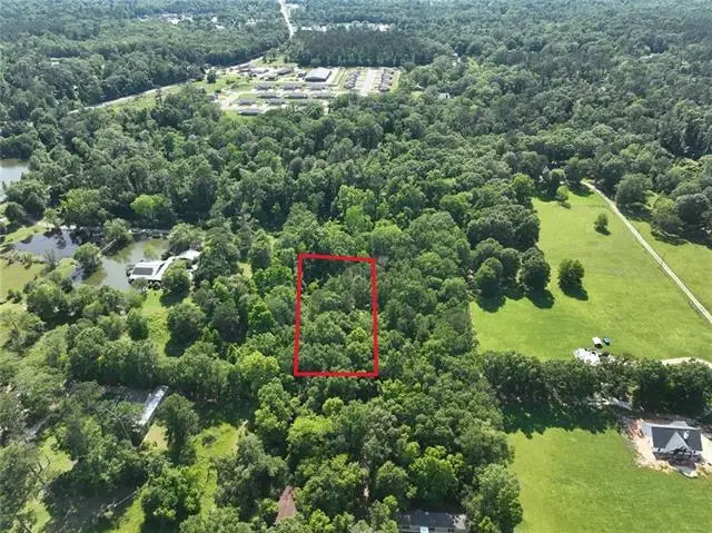L-3 Sauier Road, Ponchatoula, LA 70454 - #1