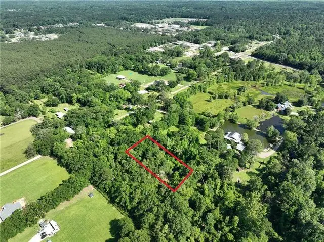L-3 Sauier Road, Ponchatoula, LA 70454 - #2