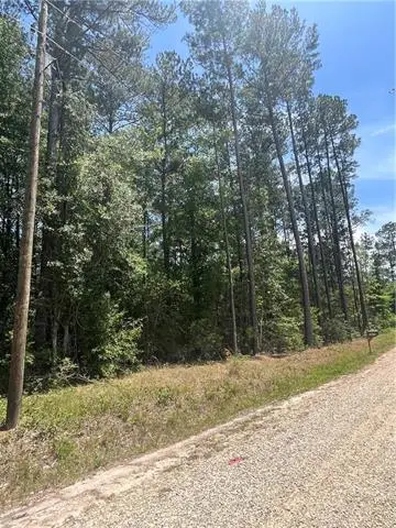 Niblick Street, Abita Springs, LA 70420