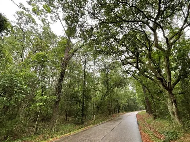 Bruhl Road, Folsom, LA 70437 - #2