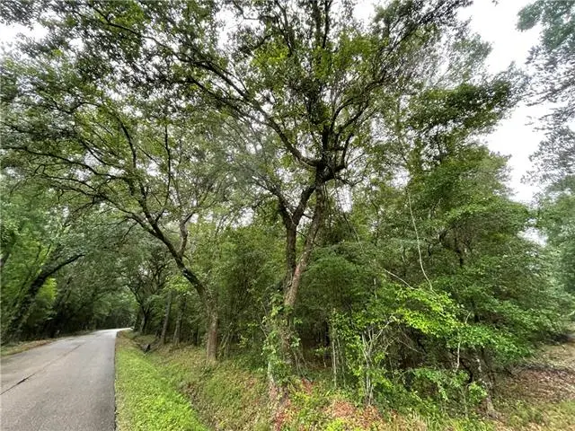 Bruhl Road, Folsom, LA 70437 - #3