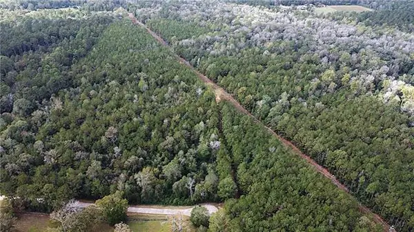 49 Acres Holliday Road, Folsom, LA 70437