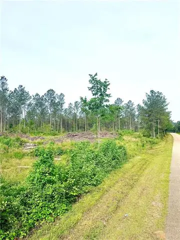 Lot4 TBD Lee Road, Franklinton, LA 70438 - #1