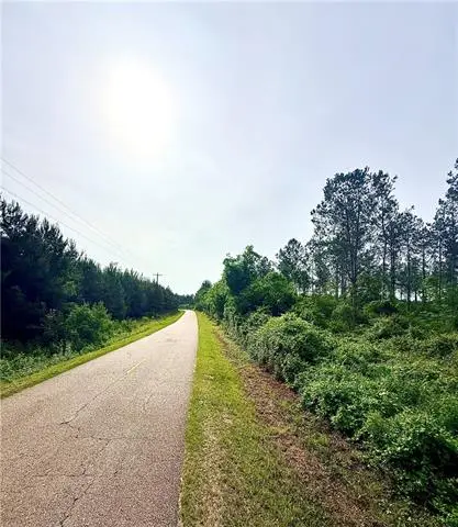 Lot4 TBD Lee Road, Franklinton, LA 70438 - #3