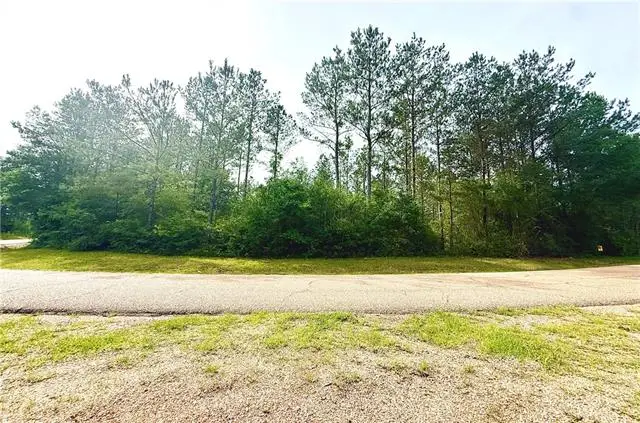Lot6 TBD Lee Road, Franklinton, LA 70438 - #3